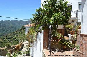 371- Genalguacil